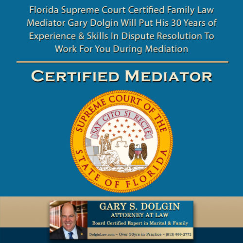 Tampa Child Custody Mediation Lawyer Tampa Child Custody Mediation Lawyer