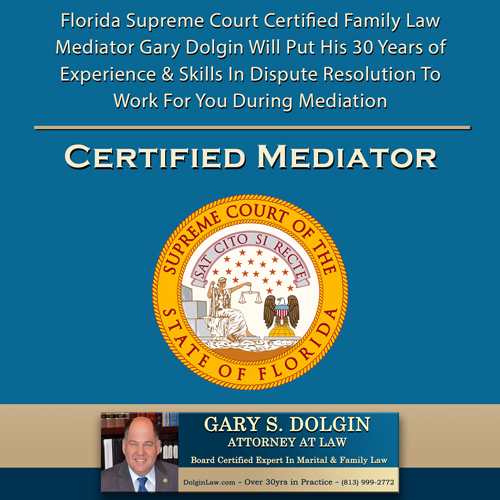 Tampa Child Custody Mediation Lawyer